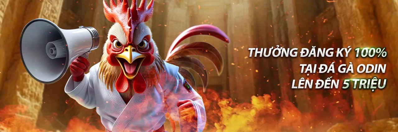 Tài nguyên KU BET toàn diện