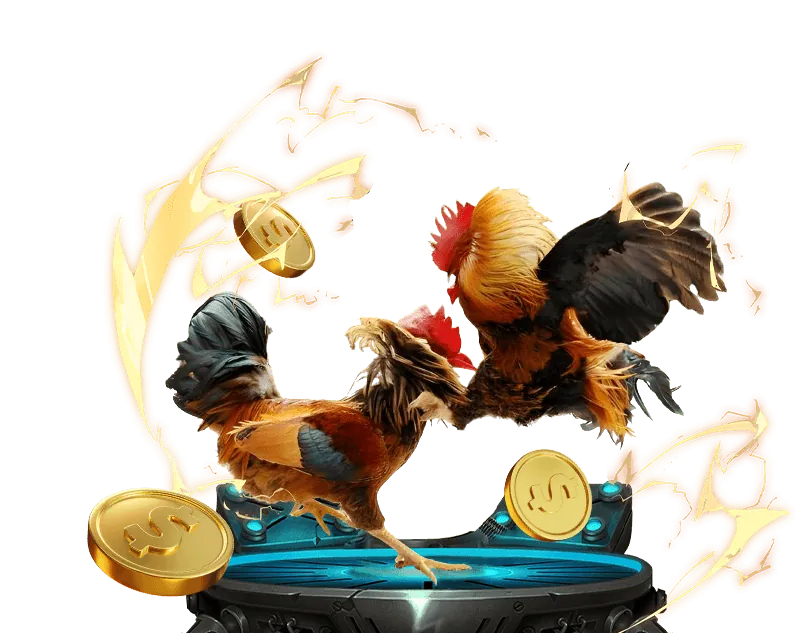 Cá cược thể thao Ku Bet