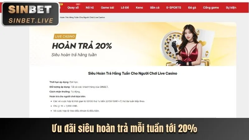 Hoàn trả casino tại tải ku bet